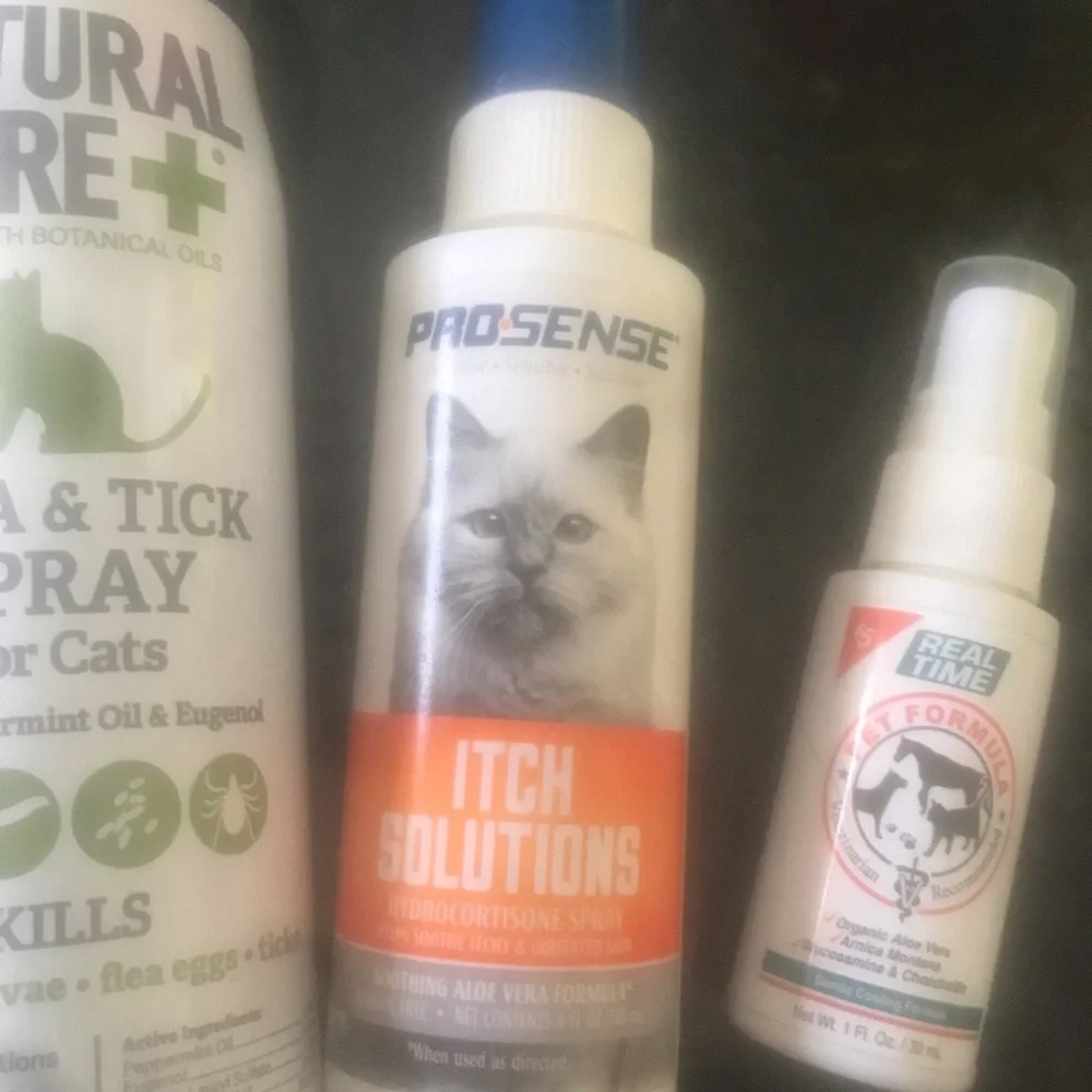 Cat care bundle
